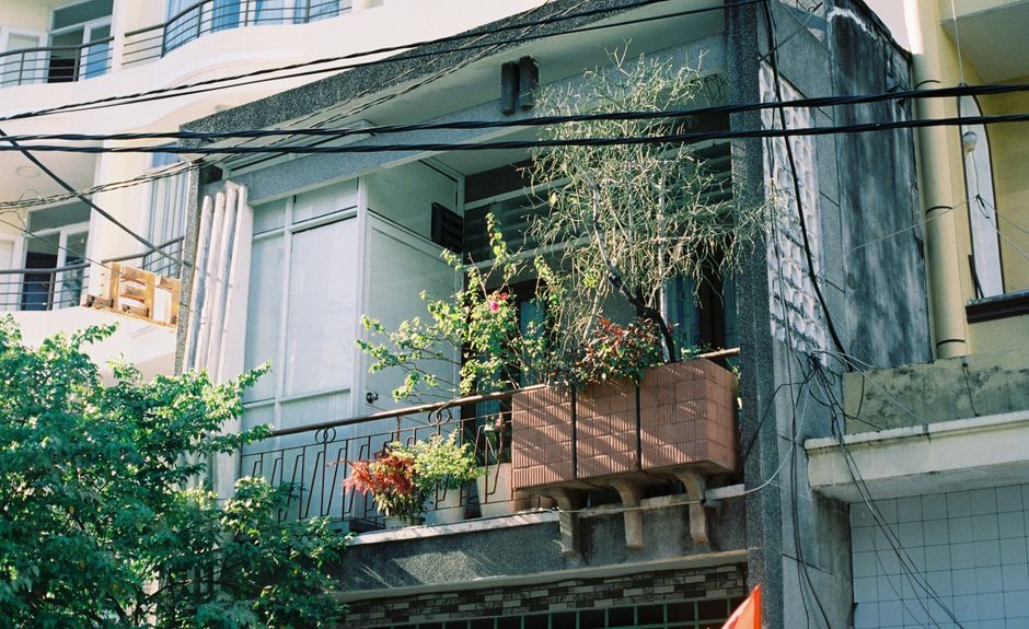 A city balcony adorned with lush potted plants and tangled wires.